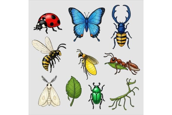 Various Colorful Insects Illustration Review